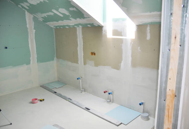 Best Airborne Mold Testing  in Imlay City, MI