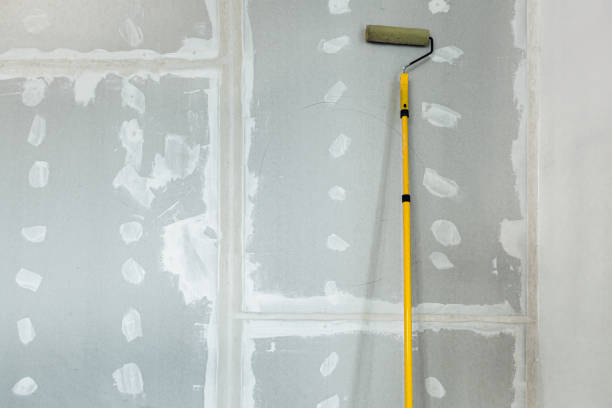 Best Attic Mold Removal  in Imlay City, MI
