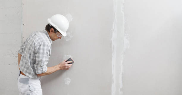 Best Mold Remediation for Healthcare Facilities  in Imlay City, MI