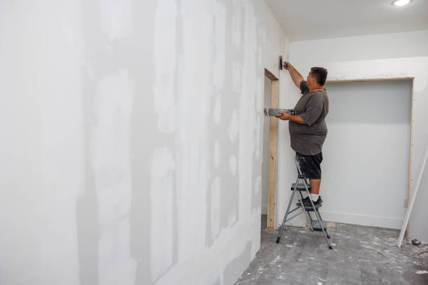 Reliable Imlay City, MI Mold Removal Solutions