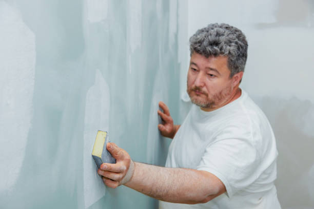 Best Real Estate Mold Inspection  in Imlay City, MI