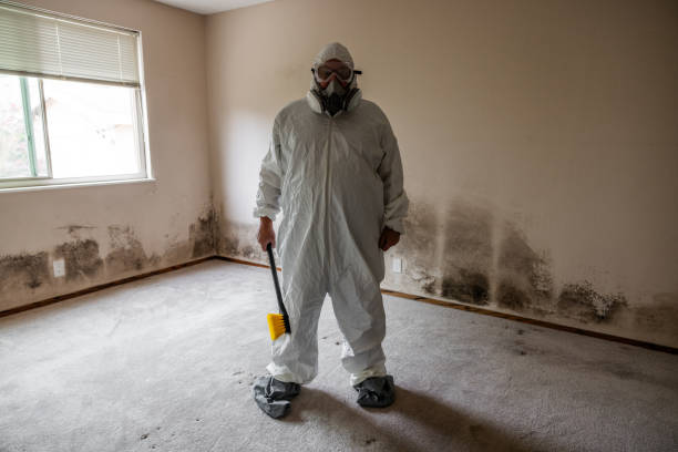 Best Commercial Mold Inspection  in Imlay City, MI