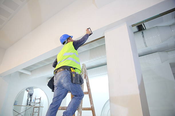 Best Black Mold Removal  in Imlay City, MI