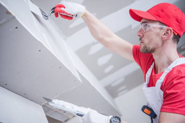 Best Real Estate Mold Inspection  in Imlay City, MI